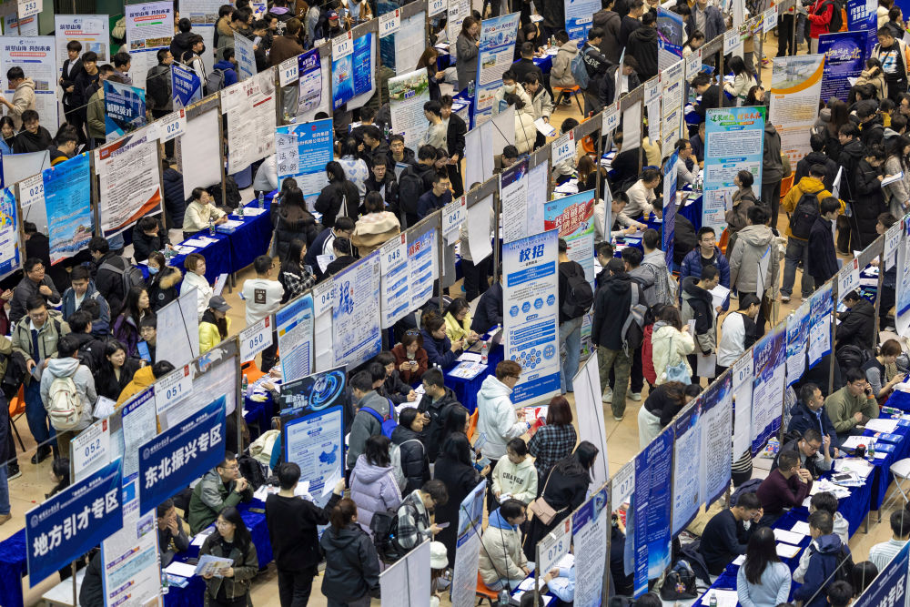 2025年3月26日，在哈尔滨工业大学一校区体育馆内，学生在查看招聘岗位信息。