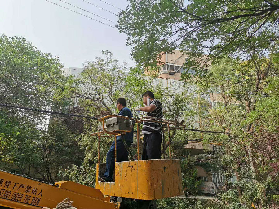 微信图片_20190613100404.jpg