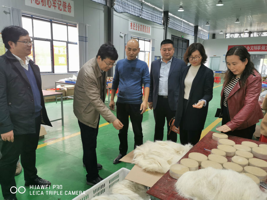 帮扶团实地调研了我校定点帮扶夏庄村以来建成的扶贫创业工厂.jpg