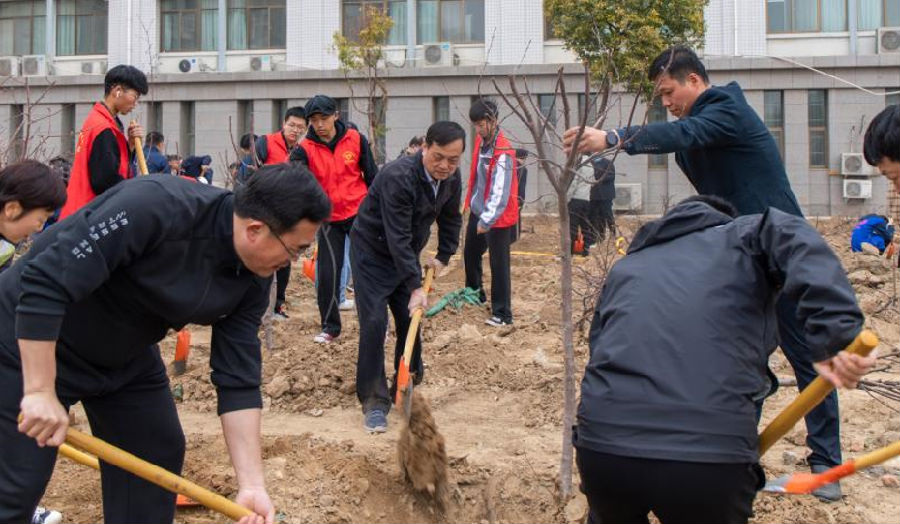 屏幕截图 2022-03-24 201621.png